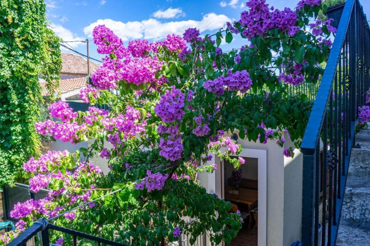 Stone House Marino Vila Trogir Exterior foto